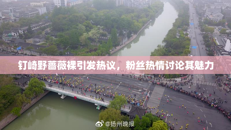 钉崎野蔷薇裸引发热议，粉丝热情讨论其魅力