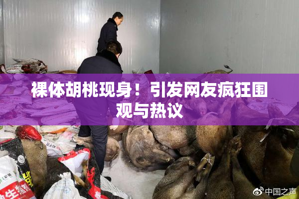 裸体胡桃现身！引发网友疯狂围观与热议