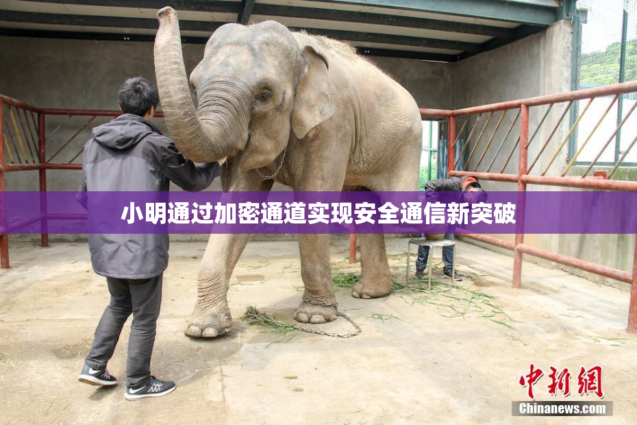 小明通过加密通道实现安全通信新突破
