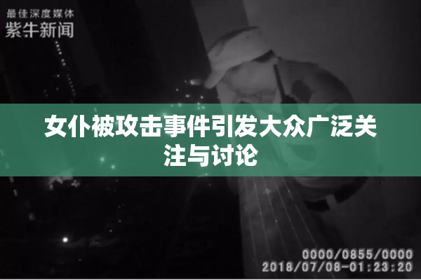 女仆被攻击事件引发大众广泛关注与讨论