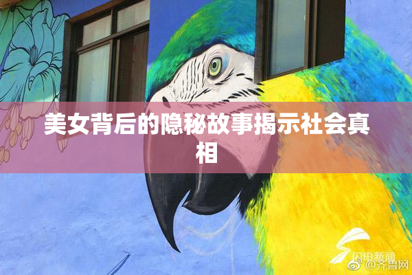 美女背后的隐秘故事揭示社会真相