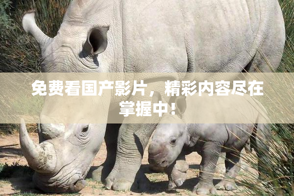 免费看国产影片，精彩内容尽在掌握中！