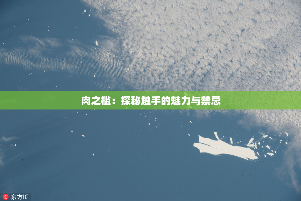 肉之槛：探秘触手的魅力与禁忌