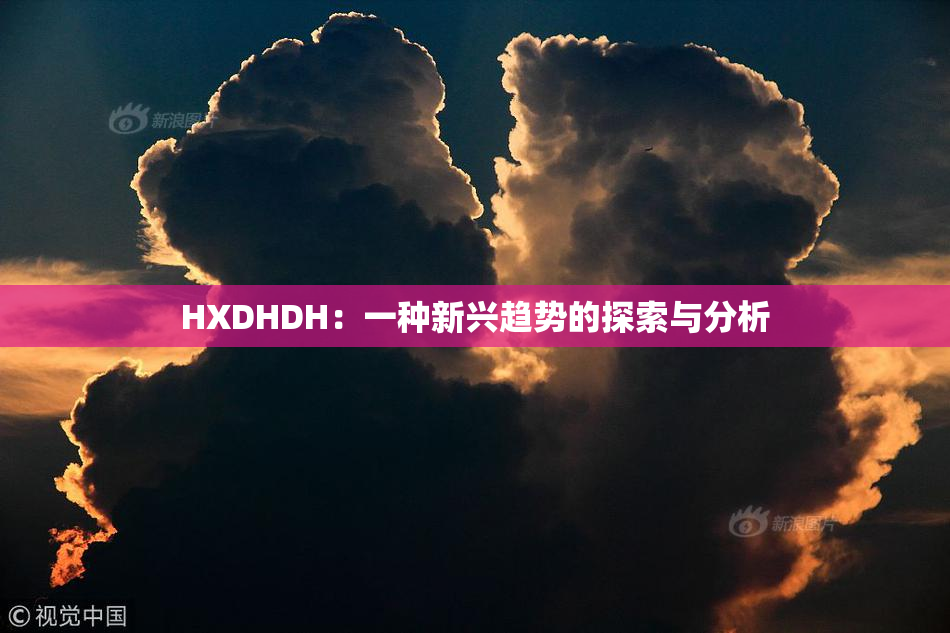 HXDHDH：一种新兴趋势的探索与分析