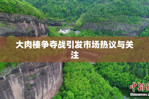 大肉楱争夺战引发市场热议与关注