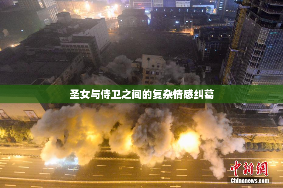 圣女与侍卫之间的复杂情感纠葛