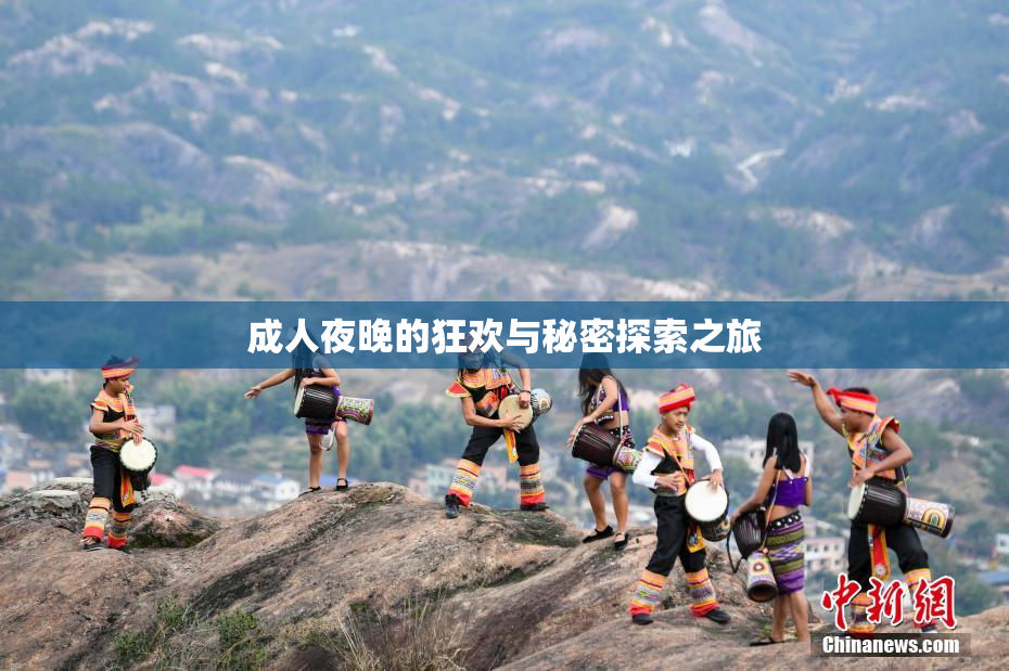 成人夜晚的狂欢与秘密探索之旅