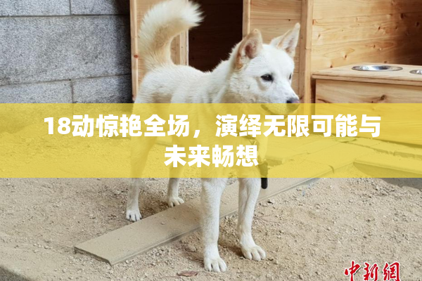 18动惊艳全场，演绎无限可能与未来畅想