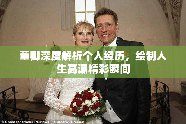 董卿深度解析个人经历，绘制人生高潮精彩瞬间