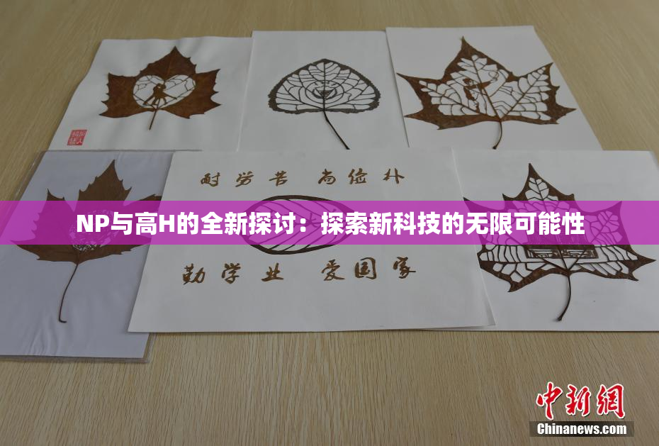 NP与高H的全新探讨：探索新科技的无限可能性