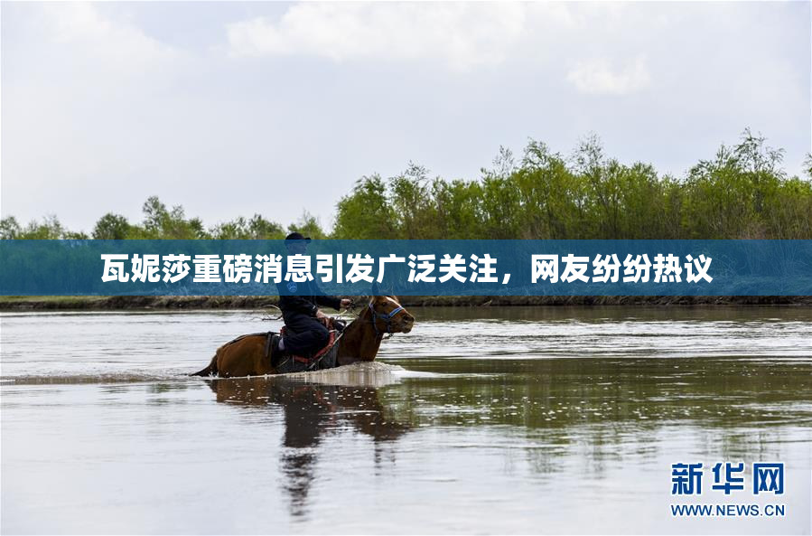 瓦妮莎重磅消息引发广泛关注，网友纷纷热议