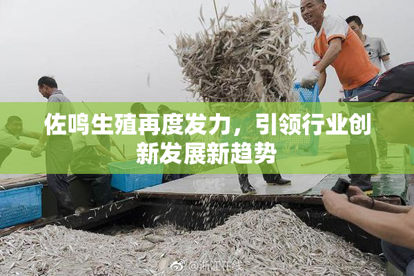 佐鸣生殖再度发力，引领行业创新发展新趋势