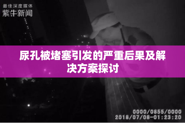 尿孔被堵塞引发的严重后果及解决方案探讨