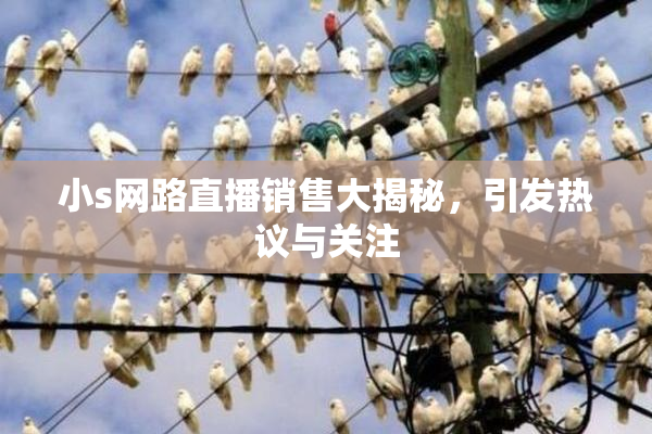 小s网路直播销售大揭秘，引发热议与关注