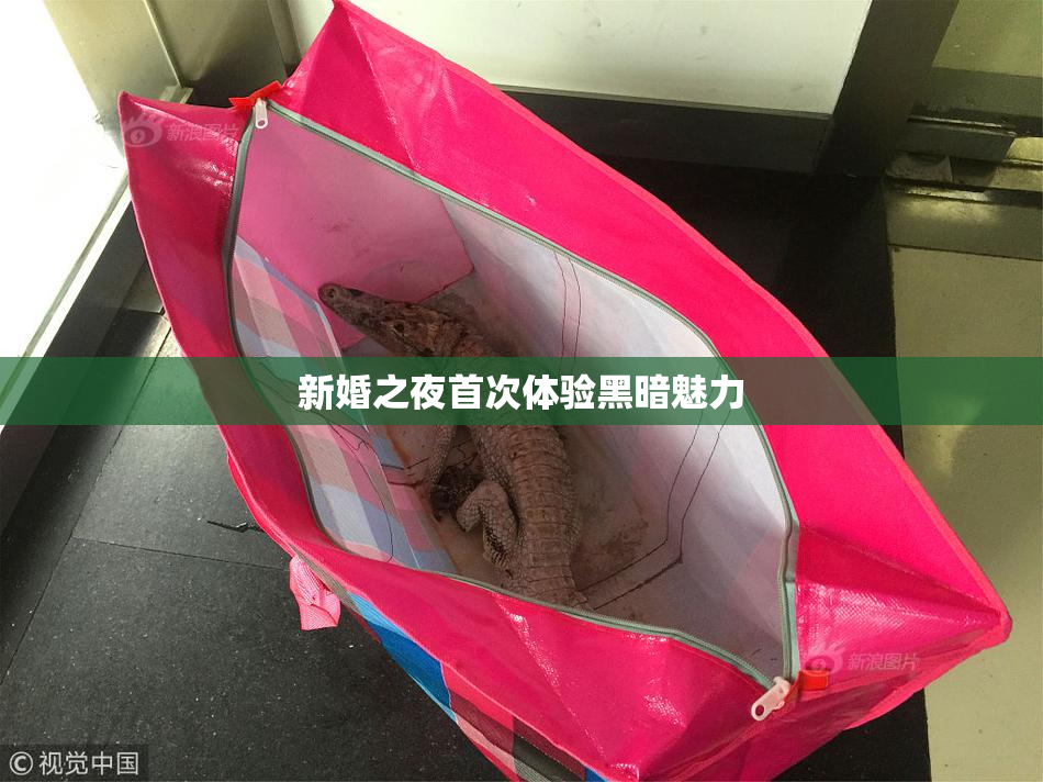 新婚之夜首次体验黑暗魅力