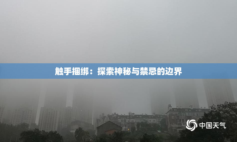 触手捆绑：探索神秘与禁忌的边界