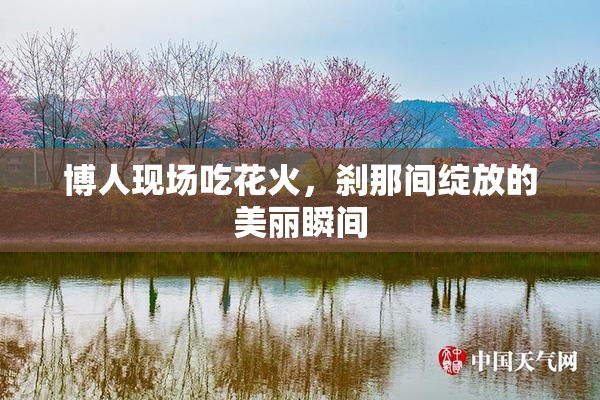 博人现场吃花火，刹那间绽放的美丽瞬间