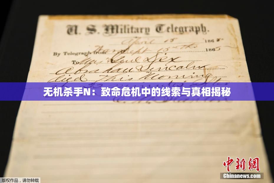 无机杀手N：致命危机中的线索与真相揭秘
