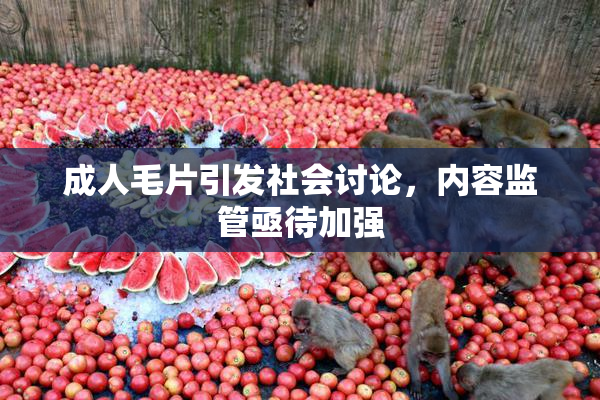 成人毛片引发社会讨论，内容监管亟待加强