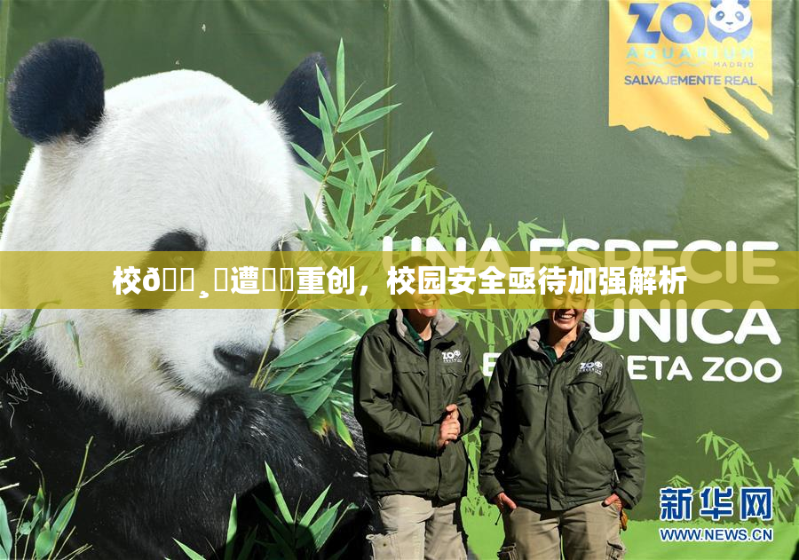 校🌸‌遭❌‌重创，校园安全亟待加强解析