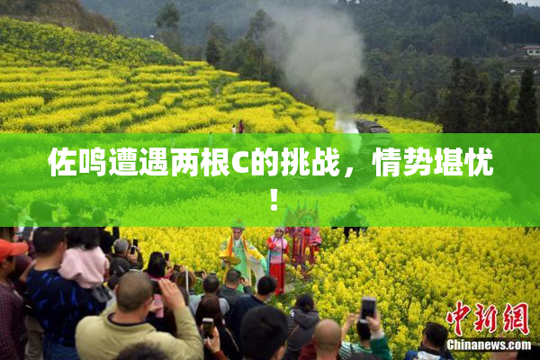 佐鸣遭遇两根C的挑战，情势堪忧！