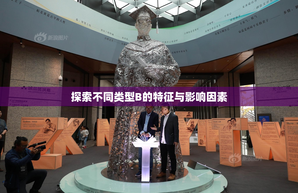 探索不同类型B的特征与影响因素