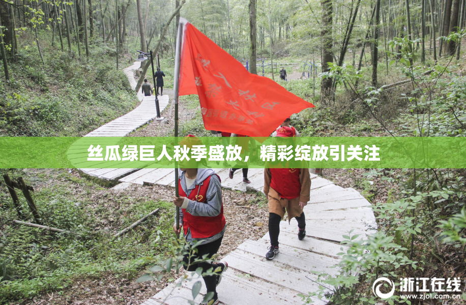 丝瓜绿巨人秋季盛放，精彩绽放引关注