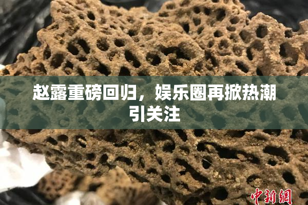 赵露重磅回归，娱乐圈再掀热潮引关注