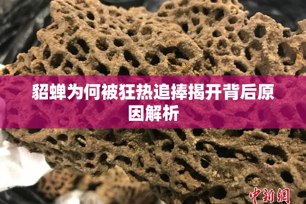 貂蝉为何被狂热追捧揭开背后原因解析