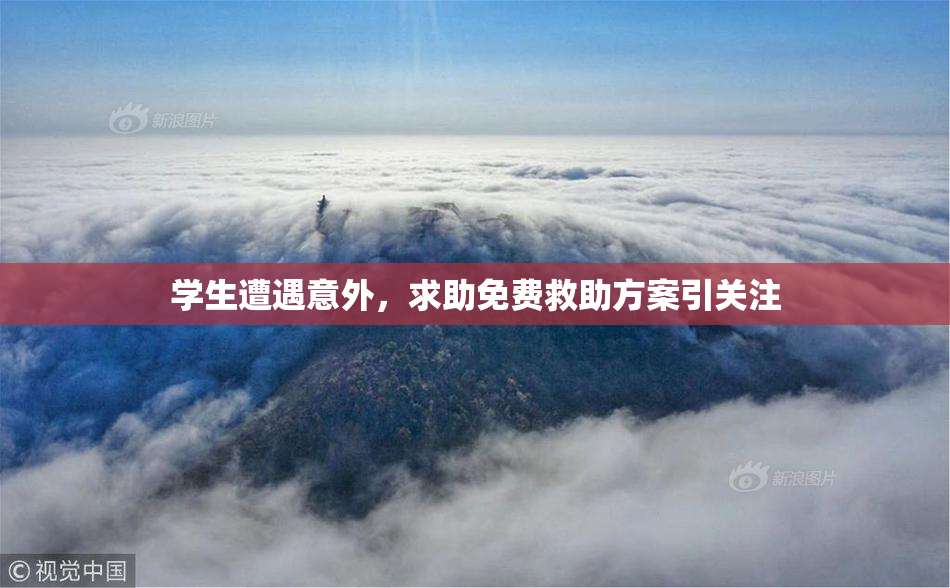 学生遭遇意外，求助免费救助方案引关注