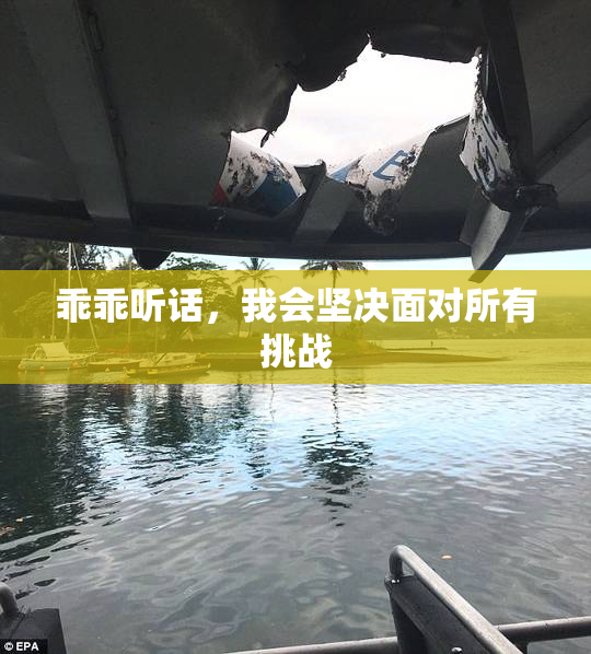 乖乖听话，我会坚决面对所有挑战