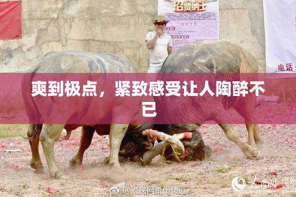 爽到极点，紧致感受让人陶醉不已
