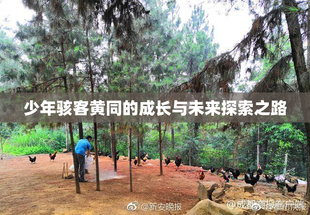少年骇客黄同的成长与未来探索之路