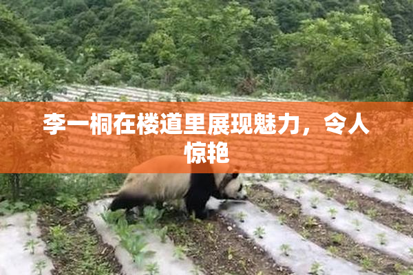 李一桐在楼道里展现魅力，令人惊艳