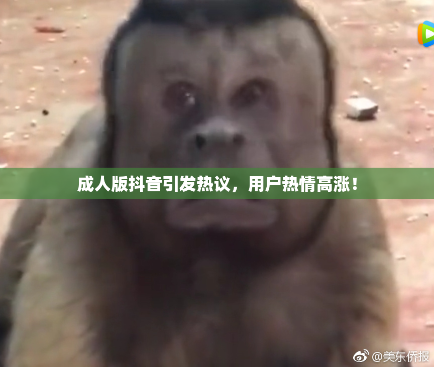 成人版抖音引发热议，用户热情高涨！