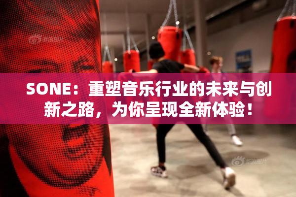 SONE：重塑音乐行业的未来与创新之路，为你呈现全新体验！