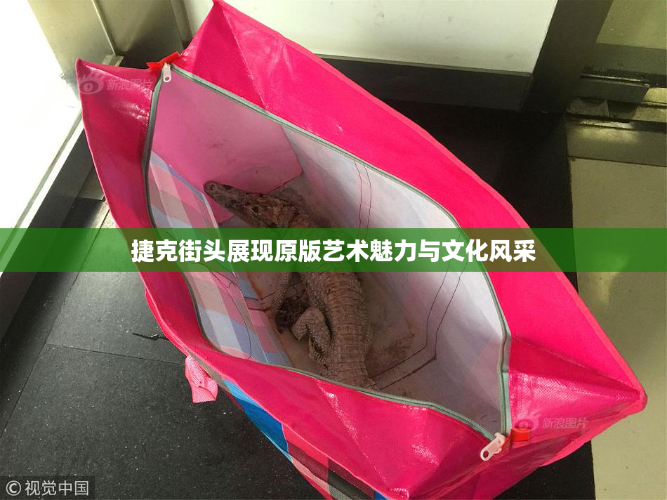 捷克街头展现原版艺术魅力与文化风采