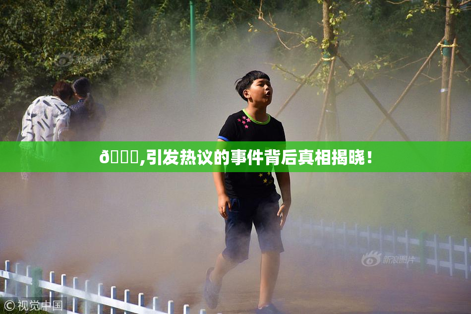🈚,引发热议的事件背后真相揭晓！