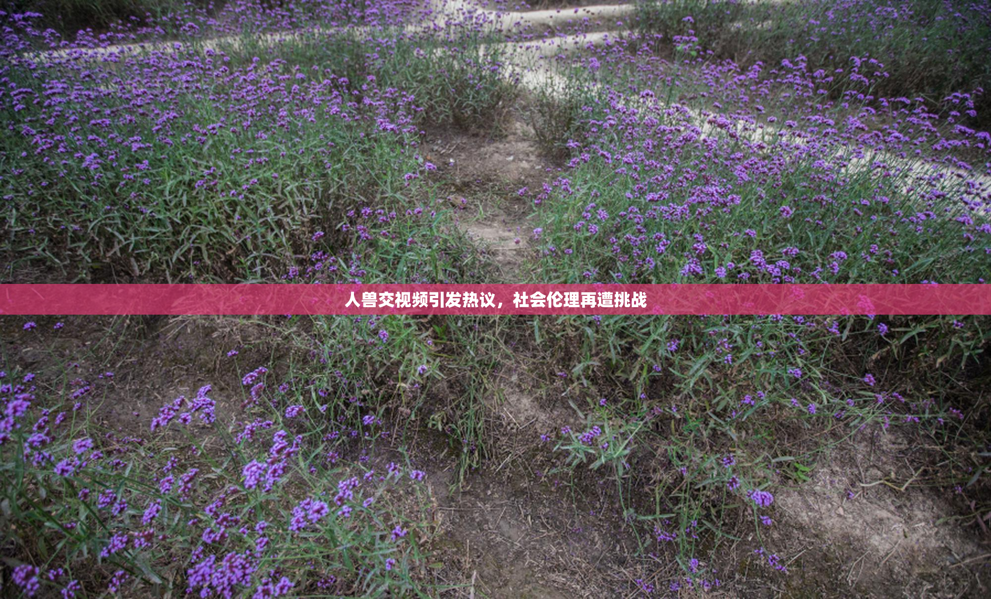 人兽交视频引发热议，社会伦理再遭挑战