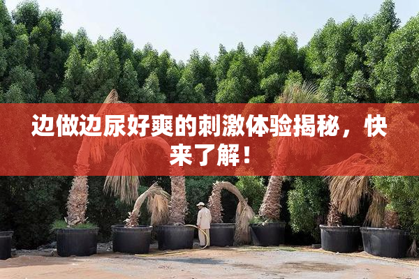 边做边尿好爽的刺激体验揭秘，快来了解！