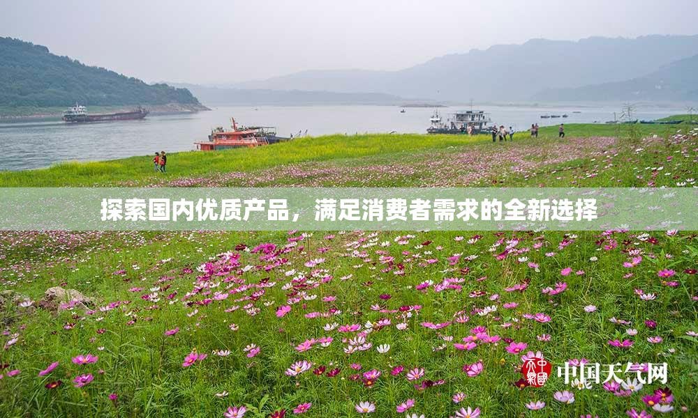探索国内优质产品，满足消费者需求的全新选择