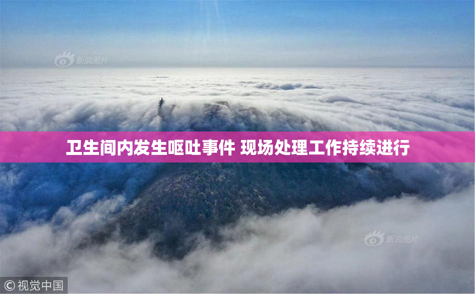 卫生间内发生呕吐事件 现场处理工作持续进行