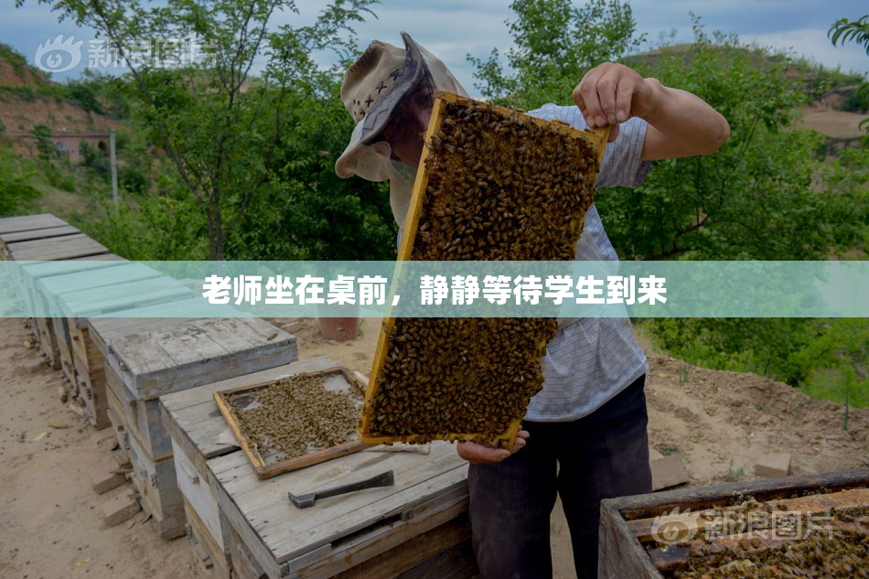 老师坐在桌前，静静等待学生到来