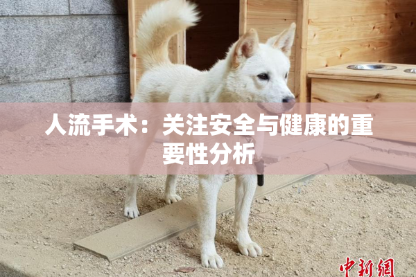 人流手术：关注安全与健康的重要性分析