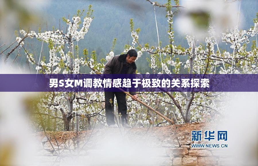男S女M调教情感趋于极致的关系探索