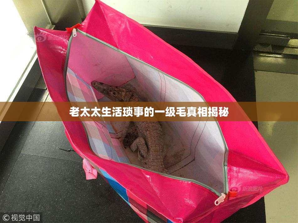 老太太生活琐事的一级毛真相揭秘