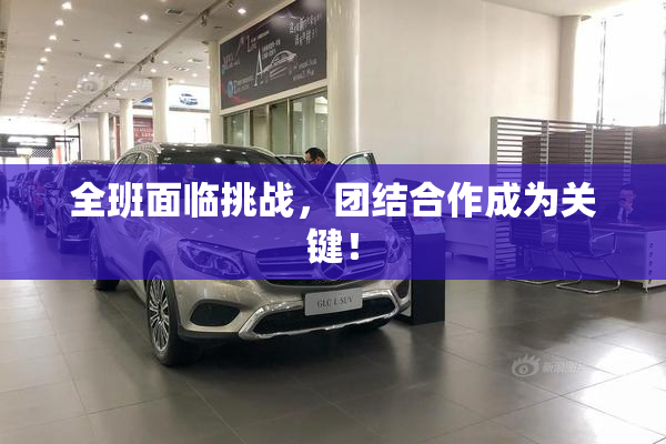 全班面临挑战，团结合作成为关键！