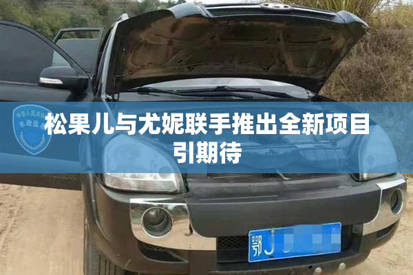 松果儿与尤妮联手推出全新项目引期待