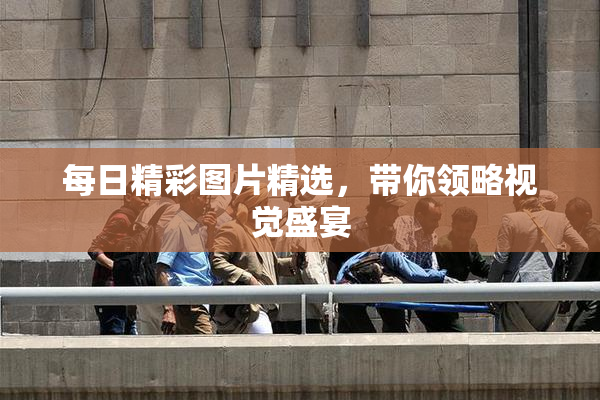 每日精彩图片精选，带你领略视觉盛宴