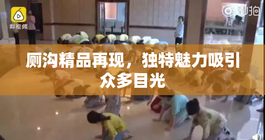 厕沟精品再现，独特魅力吸引众多目光